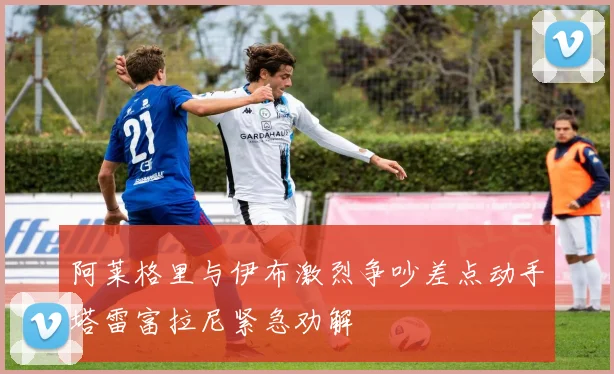阿莱格里与伊布激烈争吵差点动手塔雷富拉尼紧急劝解